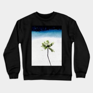 Coconut palm tree on the beach Crewneck Sweatshirt